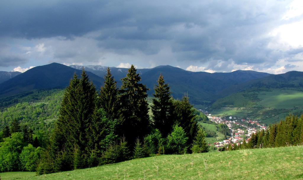 Holiday Home Skalka Mýto pod Ďumbierom Dış mekan fotoğraf