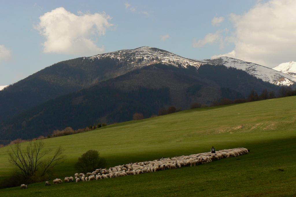Holiday Home Skalka Mýto pod Ďumbierom Dış mekan fotoğraf